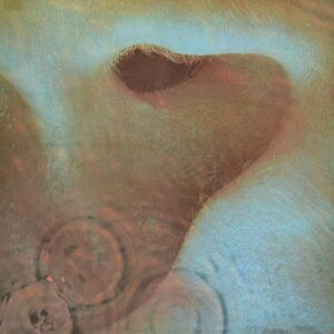 pink-floyd-meddle
