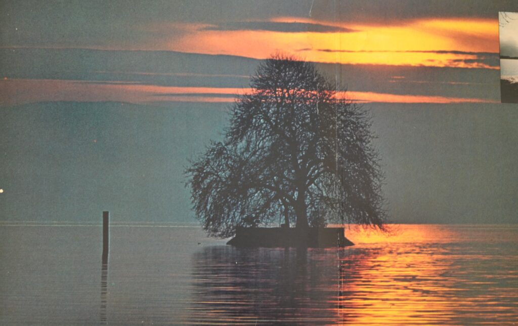 Yes - Going For The One And Wonderous Stories yes-going-for-the-one-gatefold-three-scaled.jpg