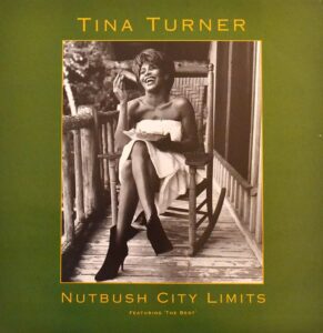 tina-turner-nutbush-city-limits.