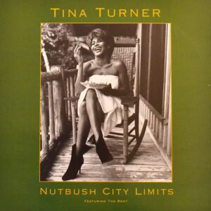 tina-turner-nutbush-city-limits.