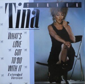 tina turner what s love got to do with this
