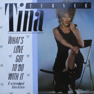 tina turner what s love got to do with this
