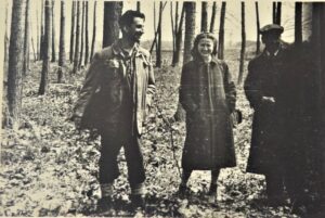 romanian-forests-1956