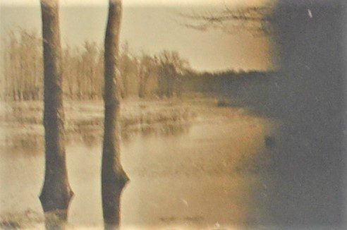 Romanian Forests: An In-Depth Look Into The Past And The Splendor Of Its Woodlands In 1956&Quot; romanian forests: an in-depth look into the past and the splendor of its woodlands in 1956"