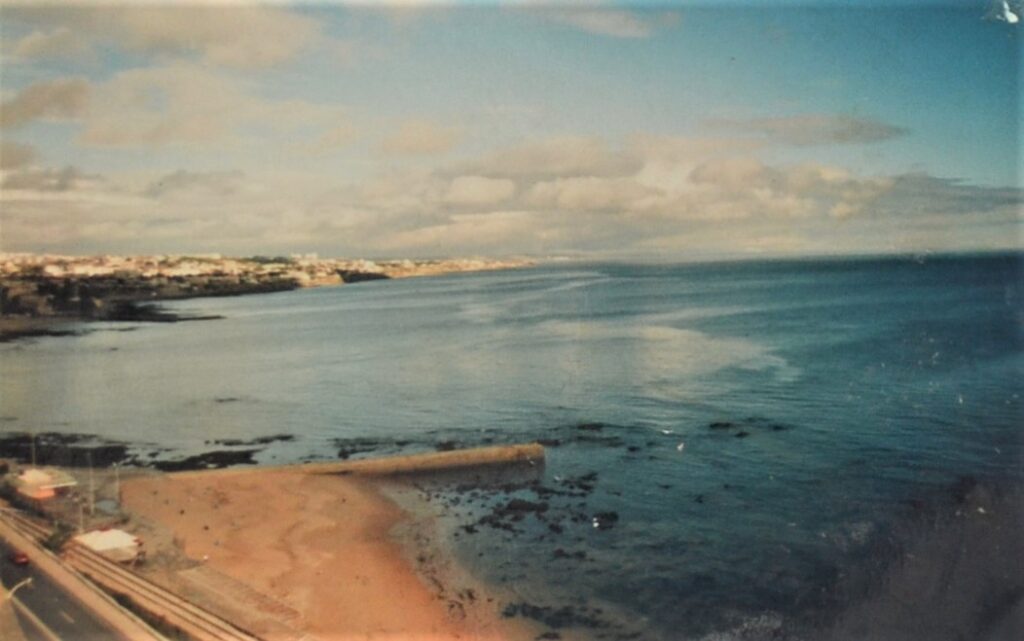 An Unveiling Portrait Of Scientific Exploration And Daily Life venice-2.