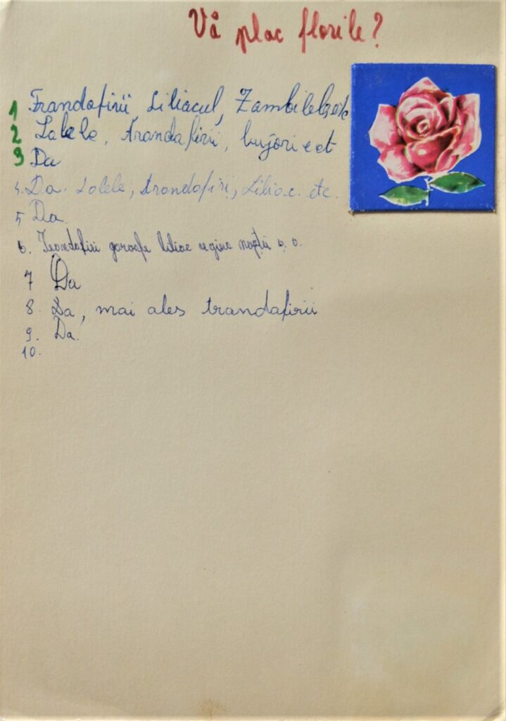 &Quot;Oracol Simona: The Amazing Analog Behind The Facebook Phenomenon !&Quot; oracol-simona-page-3.