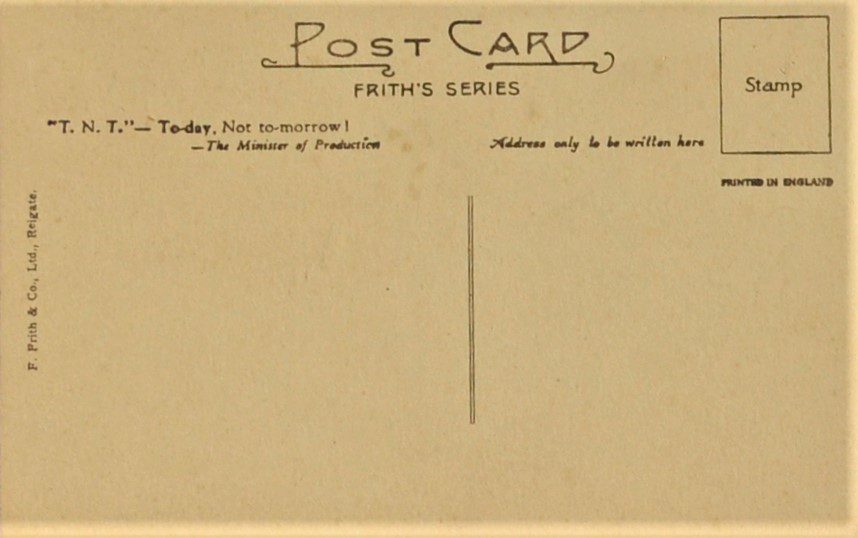 singers-all-musical-like-back-cover.