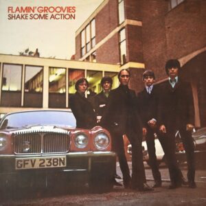flamin-groovies-shake-some-action