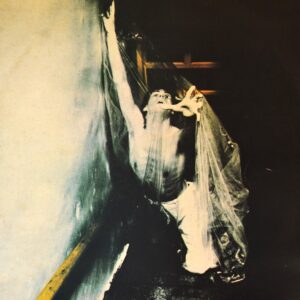 the-boomtown-rats-ireland