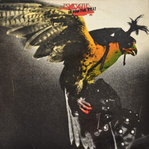 budgie-in-for-the-kill.