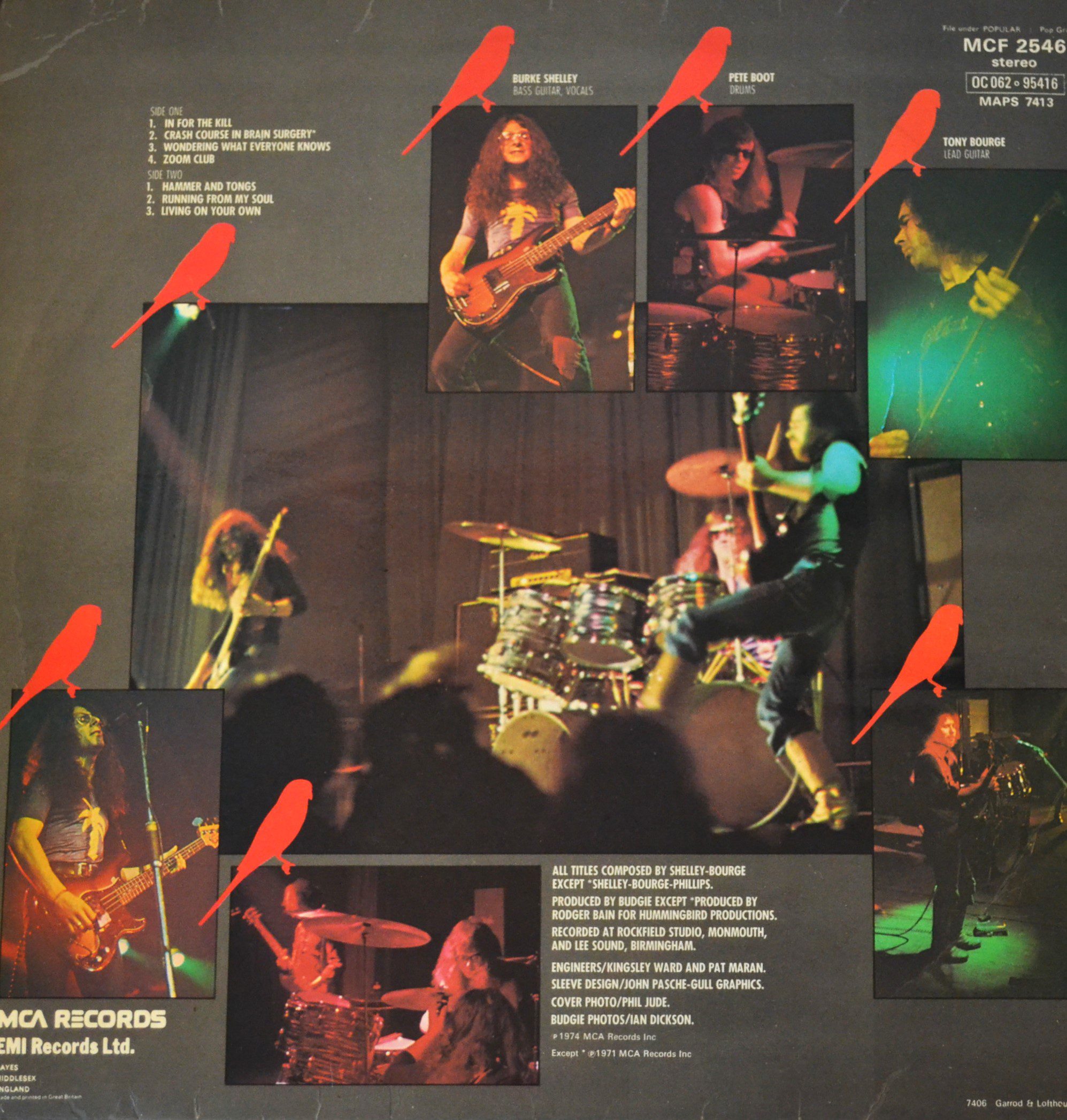 budgie-in-for-the-kill-back-cover.