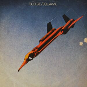budgie-squawk