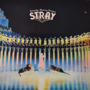 stray-saturday-morning-pictures.