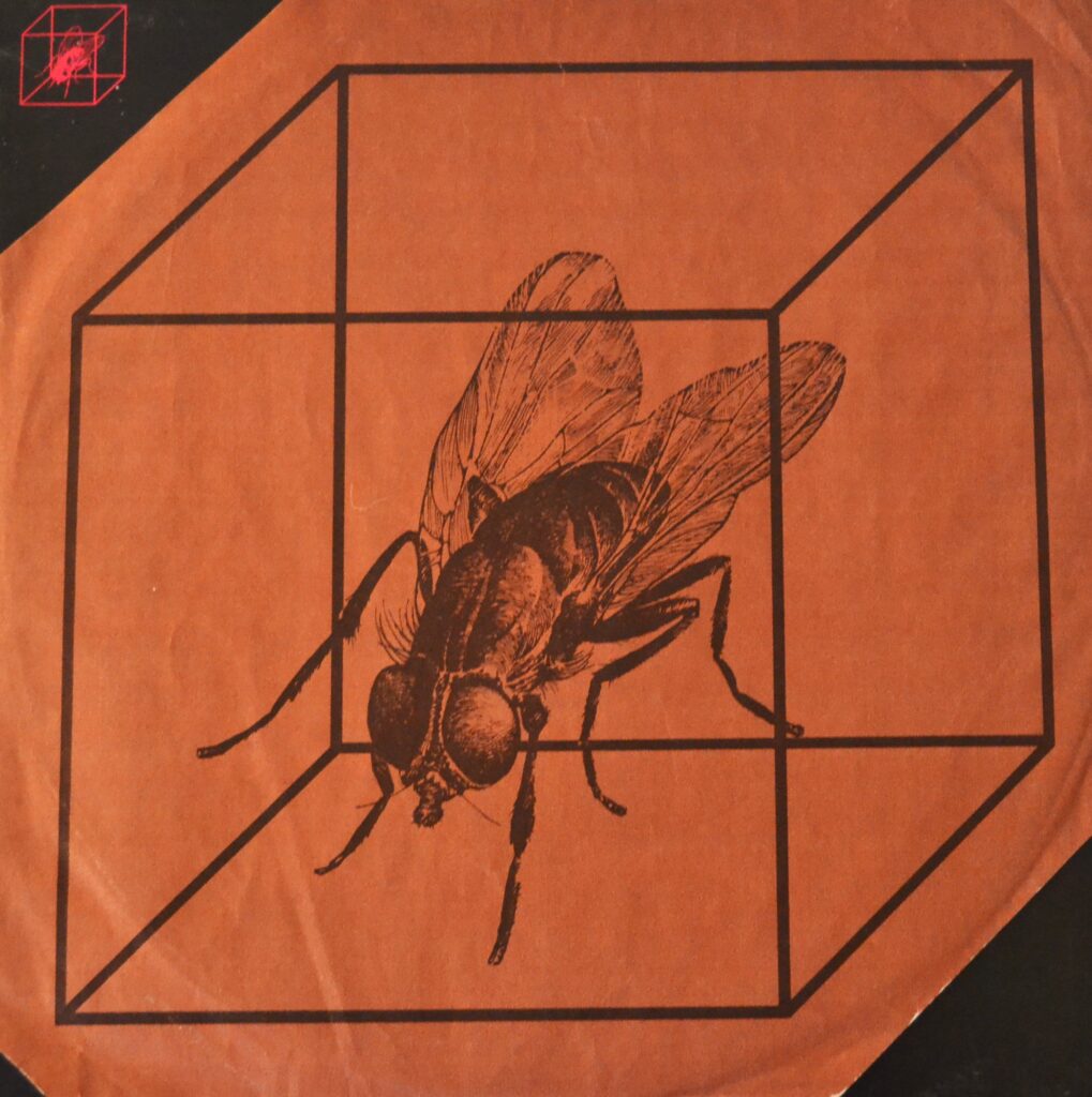 Jsd Band Album - The Beautiful Grey Dogs Laid Their Pride jsd-band-inner-sleeve-one.