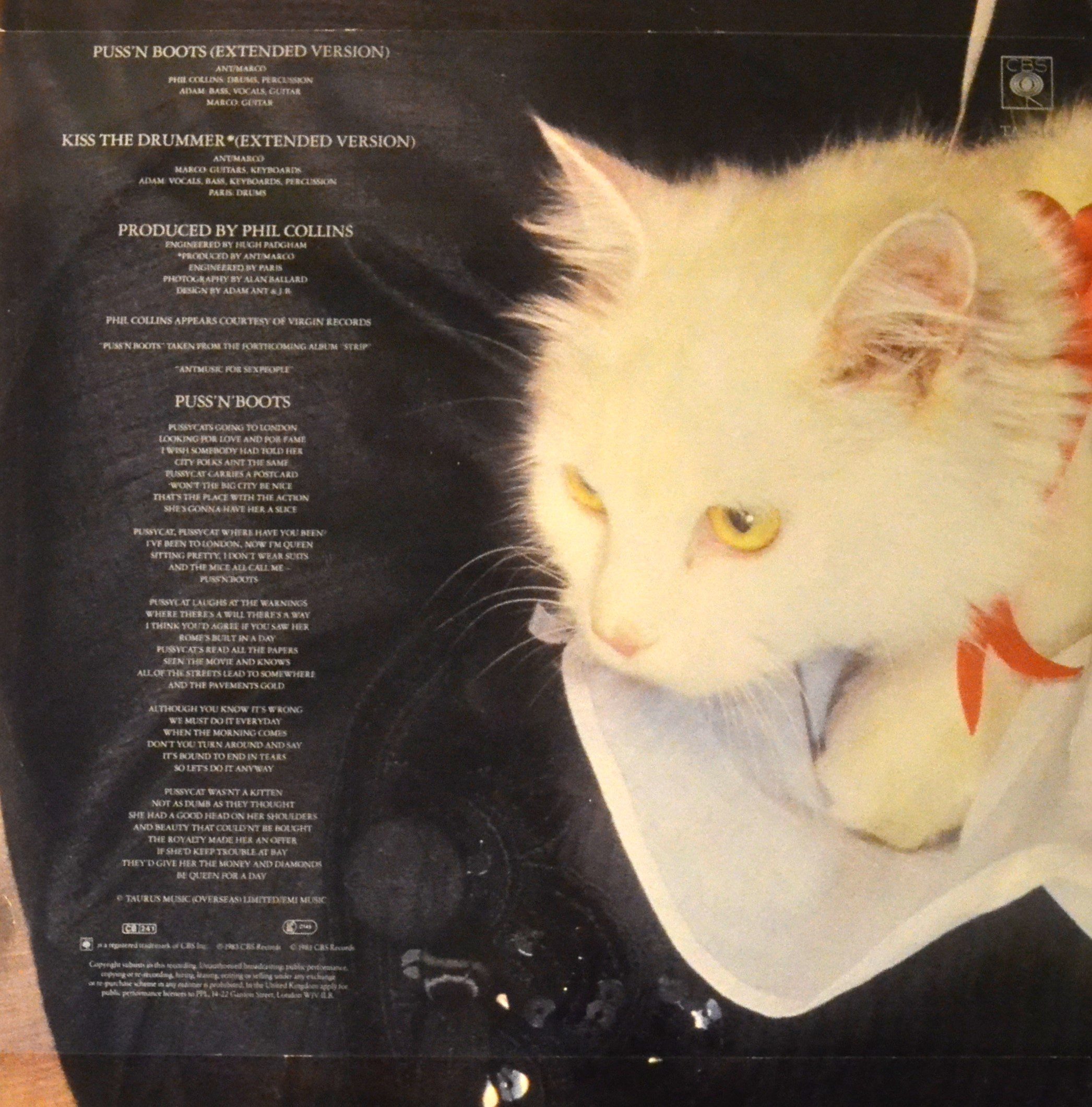 adam-ant-pussn-boots-back-cover.