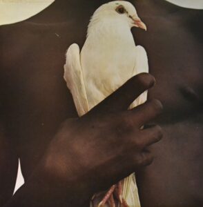 santana-santana-s-greatest-hits.