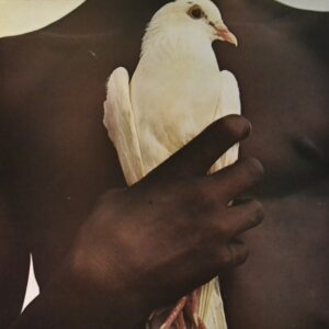 santana-santana-s-greatest-hits.