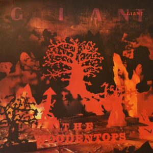 giant-the-woodentops