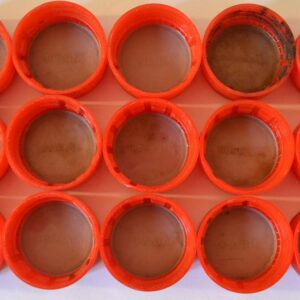 euro-2000-coca-cola-bottle-caps-netherlands-and-belgium-fifteen-extremely-rare