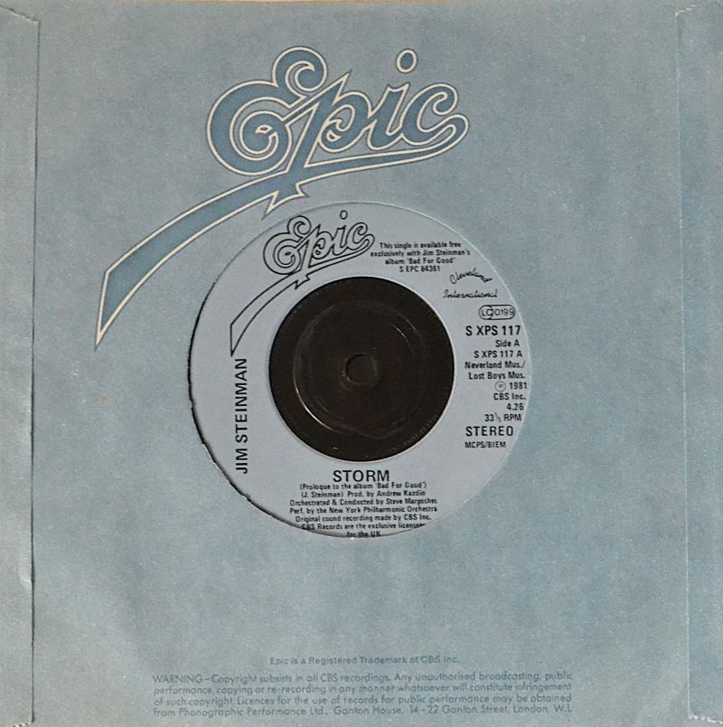 jim-steinman-7-inches-storm.