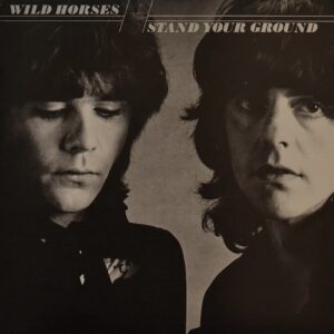 wild-horses-stand-your-ground