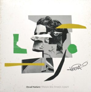 dead-nature-watch-me-break-apart